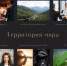 В СЕВЕРНОЙ ОСЕТИИ ПРОШЕЛ МЕЖРЕГИОНАЛЬНЫЙ ФЕСТИВАЛЬ «ТЕРРИТОРИЯ МИРА» - Моздокский район